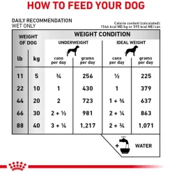 Discount Royal Canin Veterinary Diet Canine Renal Support T Loaf Wet Dog Food