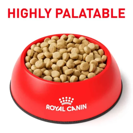 Best Royal Canin Veterinary Diet Canine Satiety Support Weight Management Small Breed Dry Dog Food