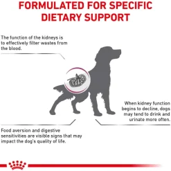 Outlet Royal Canin Veterinary Diet Canine Renal Support F Dry Dog Food