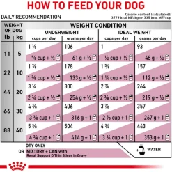 Outlet Royal Canin Veterinary Diet Canine Renal Support F Dry Dog Food