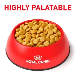 Best Royal Canin Veterinary Diet Canine Urinary UC Dry Dog Food