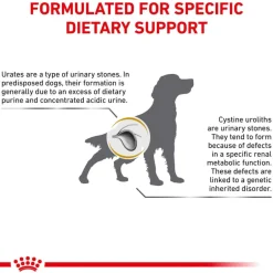 Best Royal Canin Veterinary Diet Canine Urinary UC Dry Dog Food