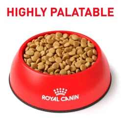 Discount Royal Canin Veterinary Diet Canine Urinary SO Small Breed Dry Dog Food