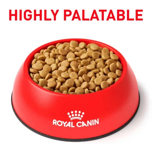 Discount Royal Canin Veterinary Diet Canine Urinary SO Small Breed Dry Dog Food