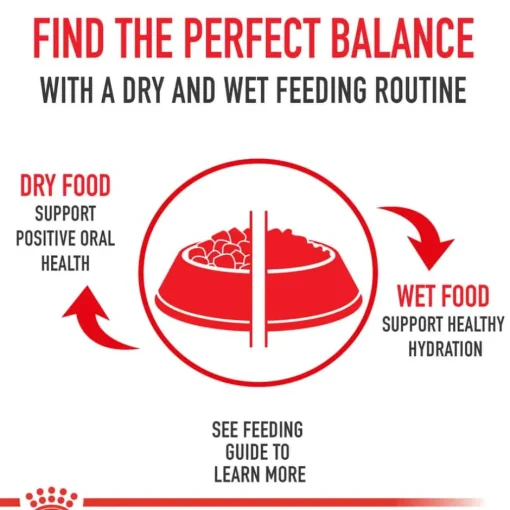 Online Royal Canin Veterinary Diet Canine Urinary SO Moderate Calorie Thin Slices in Gravy Wet Dog Food
