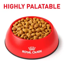 Clearance Royal Canin Veterinary Diet Canine Mature Consult Medium Breed Dry Dog Food