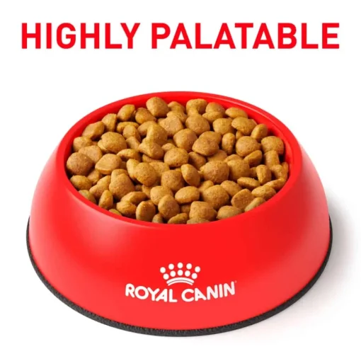 Clearance Royal Canin Veterinary Diet Canine Mature Consult Medium Breed Dry Dog Food