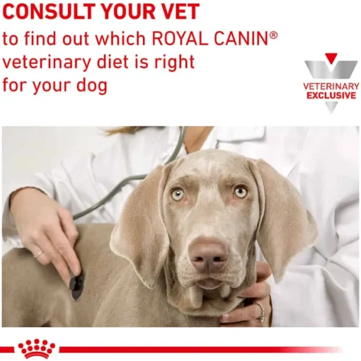 Clearance Royal Canin Veterinary Diet Canine Urinary SO Loaf Wet Dog Food