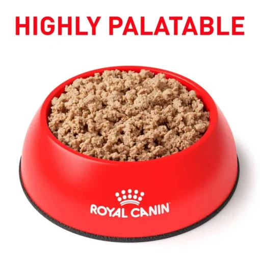 Sale Royal Canin Veterinary Diet Canine Weight Control Loaf in Sauce Wet Dog Food