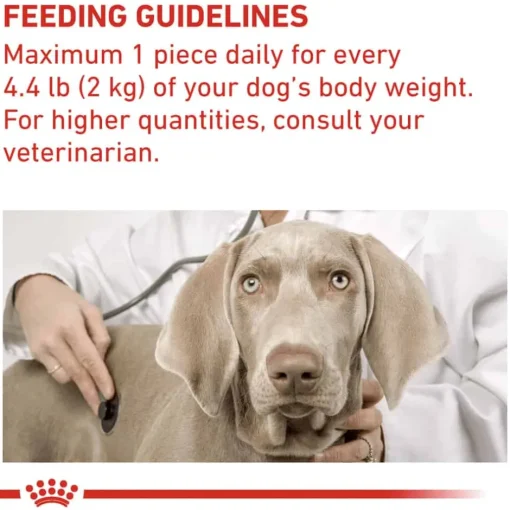 Fashion Royal Canin Veterinary Diet Canine Pill Assist Dog Treats