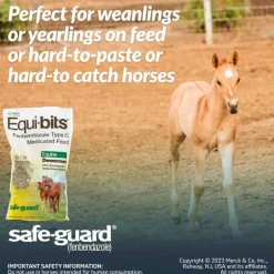 Discount Safe-Guard Equi-Bits Fenbendazole Type C Medicated Feed