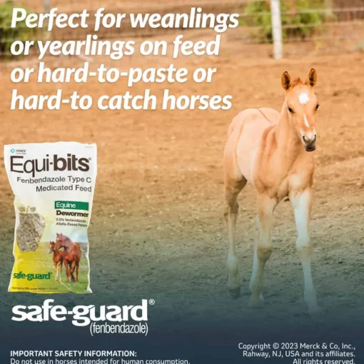 Discount Safe-Guard Equi-Bits Fenbendazole Type C Medicated Feed