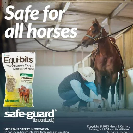 Discount Safe-Guard Equi-Bits Fenbendazole Type C Medicated Feed