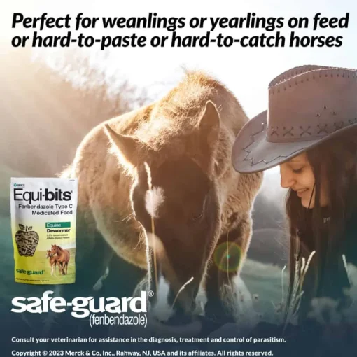 Discount Safe-Guard Equi-Bits Fenbendazole Type C Medicated Feed