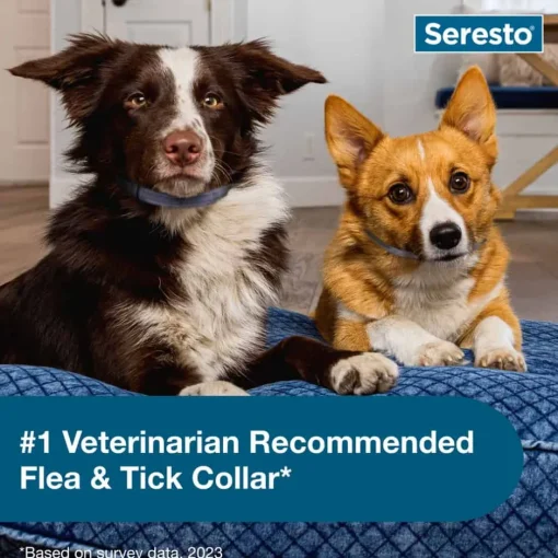 Clearance Seresto - Flea & Tick Preventative Collar for Small Dogs