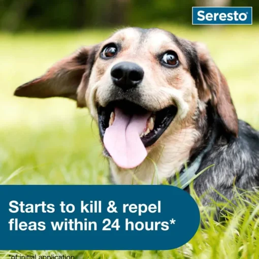 Clearance Seresto - Flea & Tick Preventative Collar for Small Dogs