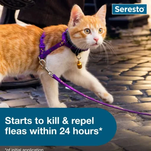Sale Seresto for Cats