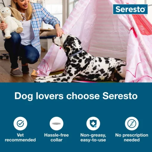 Outlet Seresto for Large Dogs 2pk Bundle