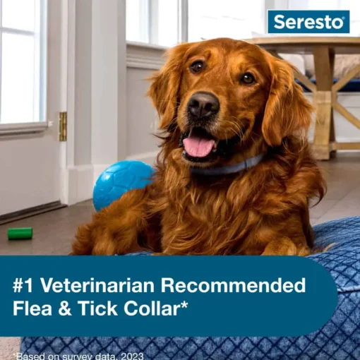 Outlet Seresto for Large Dogs 2pk Bundle