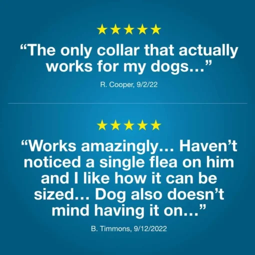 Outlet Seresto for Large Dogs 2pk Bundle