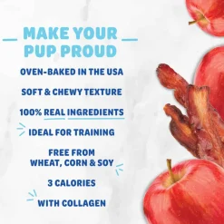 Hot Shameless Pets Bacon Hits Different Bone Broth Training Treats for Dogs