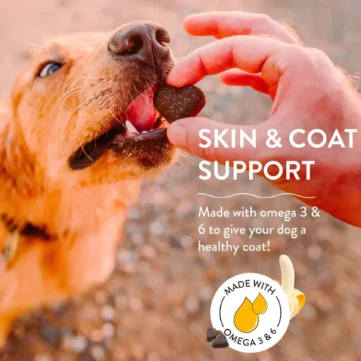 Online Shameless Pets Bananas for Bacon Soft Baked Biscuits for Dogs