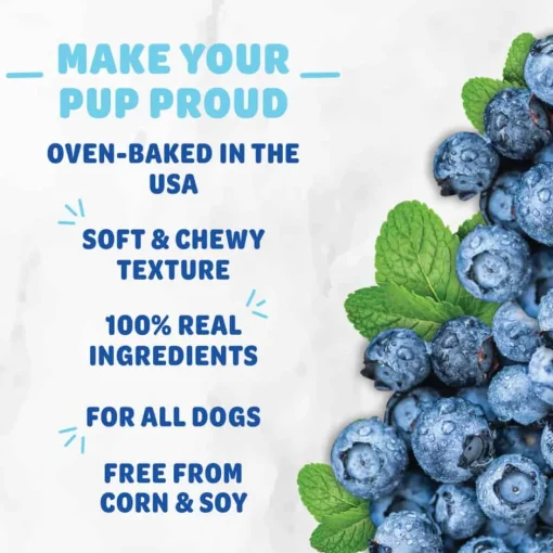 Fashion Shameless Pets Blueberried Treasure Soft Baked Biscuits for Dogs