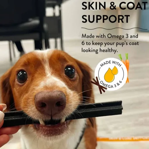 Best Shameless Pets Carrate Chomp Dental Sticks Dog Treats