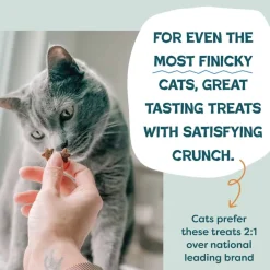 Best Shameless Pets Catnip N Chill Chicken Liver Recipe Crunchy Cat Treats