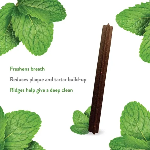 Outlet Shameless Pets The Tooth Berry Dental Sticks Dog Treats