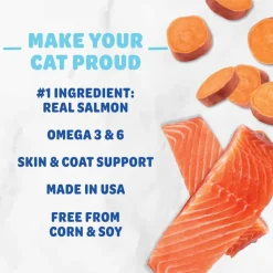 Discount Shameless Pets Yam Good Salmon Crunchy Cat Treats