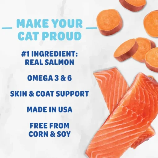 Discount Shameless Pets Yam Good Salmon Crunchy Cat Treats
