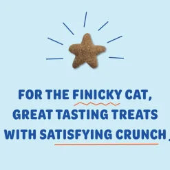 Discount Shameless Pets Yam Good Salmon Crunchy Cat Treats