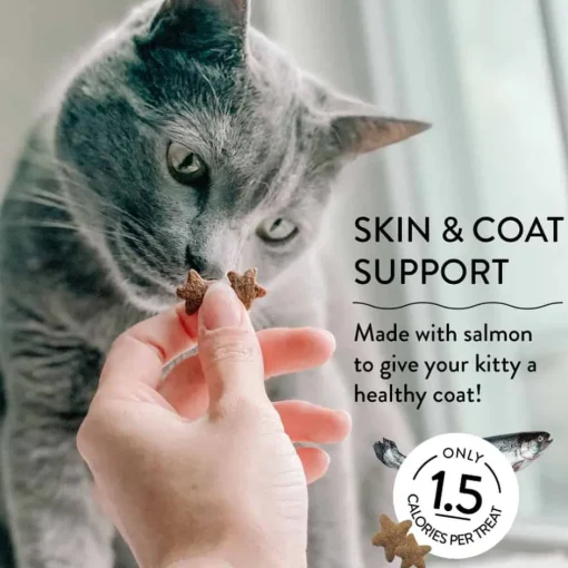 Discount Shameless Pets Yam Good Salmon Crunchy Cat Treats
