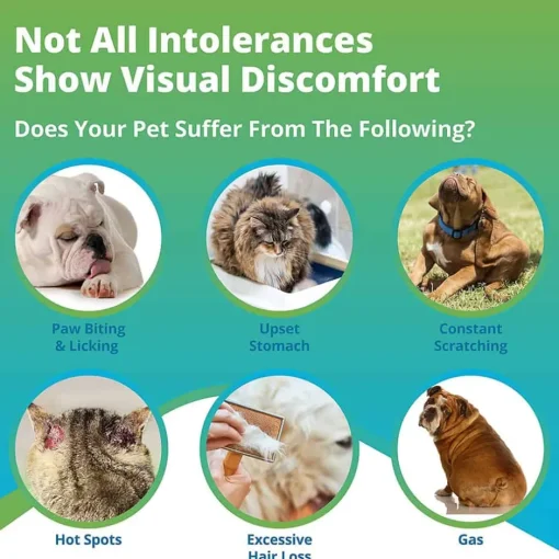 Hot 5Strands Pet Food Intolerance Test