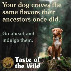 Sale Taste of the Wild with Ancient Grains Taste of the Wild Ancient Prairie Canine Recipe Roasted Bison, Roasted Venison & Ancient Grains Dry Dog Food