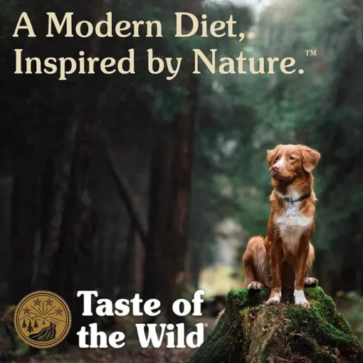 Online Taste of the Wild High Prairie Canned Dog Food