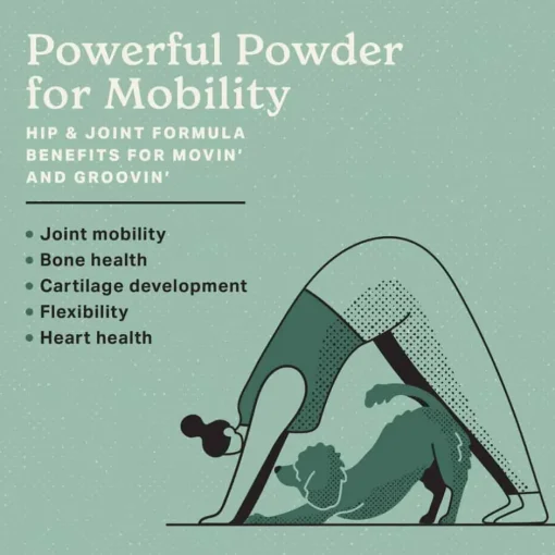 Best The Missing Link ® Superfood Powders Hip & Joint Supplement for Dogs