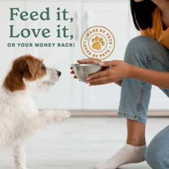 Best The Missing Link ® Superfood Powders Hip & Joint Supplement for Dogs