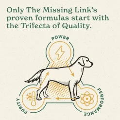 Best The Missing Link ® Superfood Powders Hip & Joint Supplement for Dogs