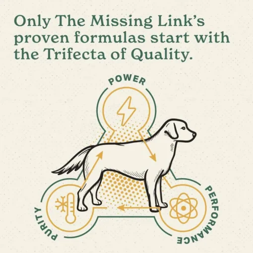 Best The Missing Link ® Superfood Powders Hip & Joint Supplement for Dogs