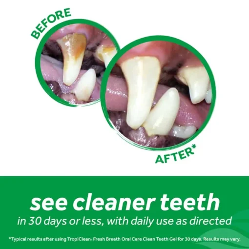 Hot TropiClean Fresh Breath Clean Teeth Gel Box