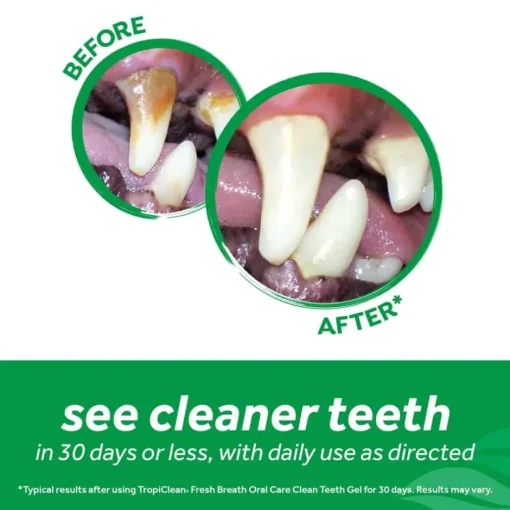 Discount TropiClean Fresh Breath Clean Teeth Gel - Peanut Butter for Dog