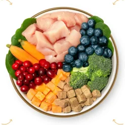 Best Ultimate Pet Nutrition Nutra Complete Freeze Dried Raw Chicken Dog Food