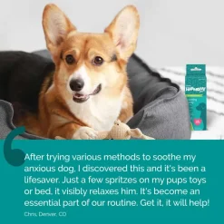 Clearance Vetality Harmony Pet Calming Spray for Dogs