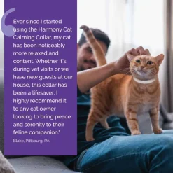 Discount Vetality Harmony Pet Calming Collar for Cats