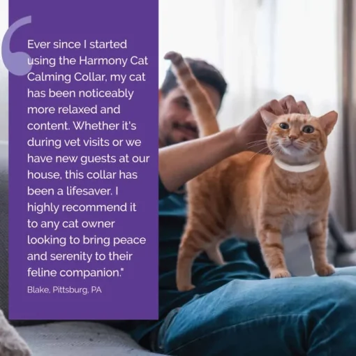 Discount Vetality Harmony Pet Calming Collar for Cats
