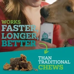 Hot Vetality Twist & Lick Calming Supplement for Dogs