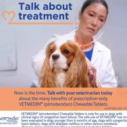 New Vetmedin (Pimobendan) - Congestive Heart Failure Treatment Tablets for Dogs