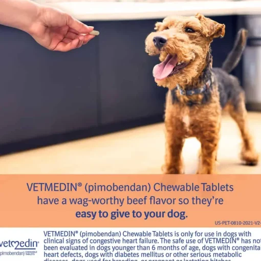 New Vetmedin (Pimobendan) - Congestive Heart Failure Treatment Tablets for Dogs
